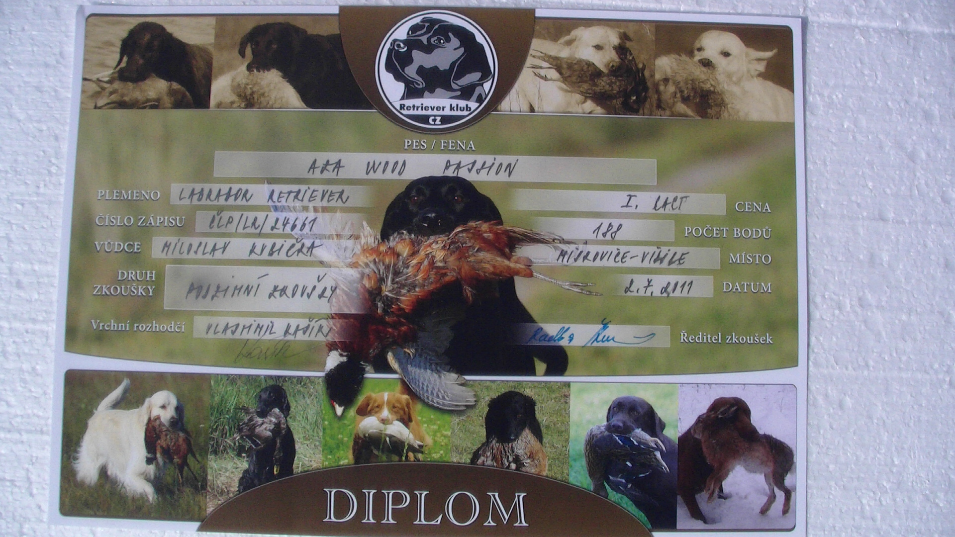 2.7.2011 Diplom podzimky